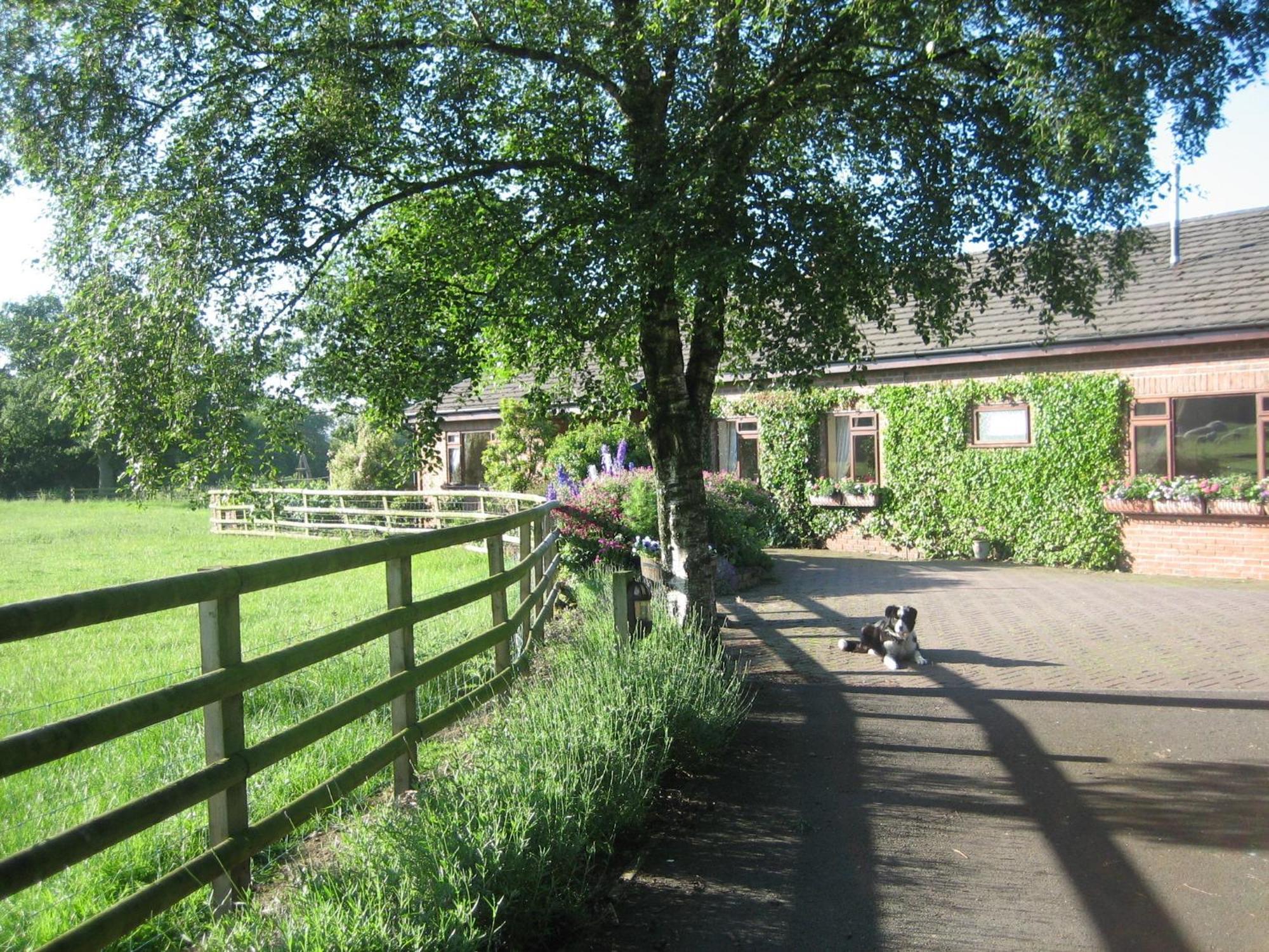 Bed and Breakfast Ladderstile Retreat à Congleton Extérieur photo